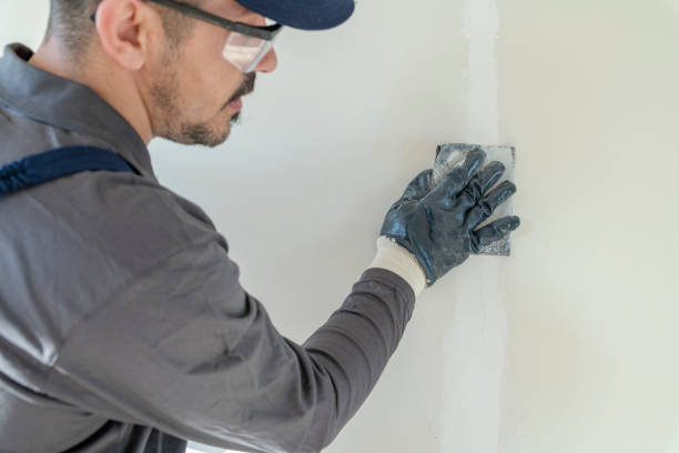 Best Drywall Patching  in Laramie, WY