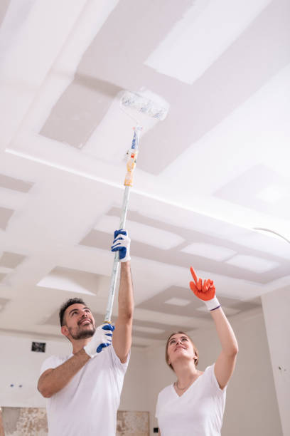 Best Ceiling Drywall Installation  in Laramie, WY